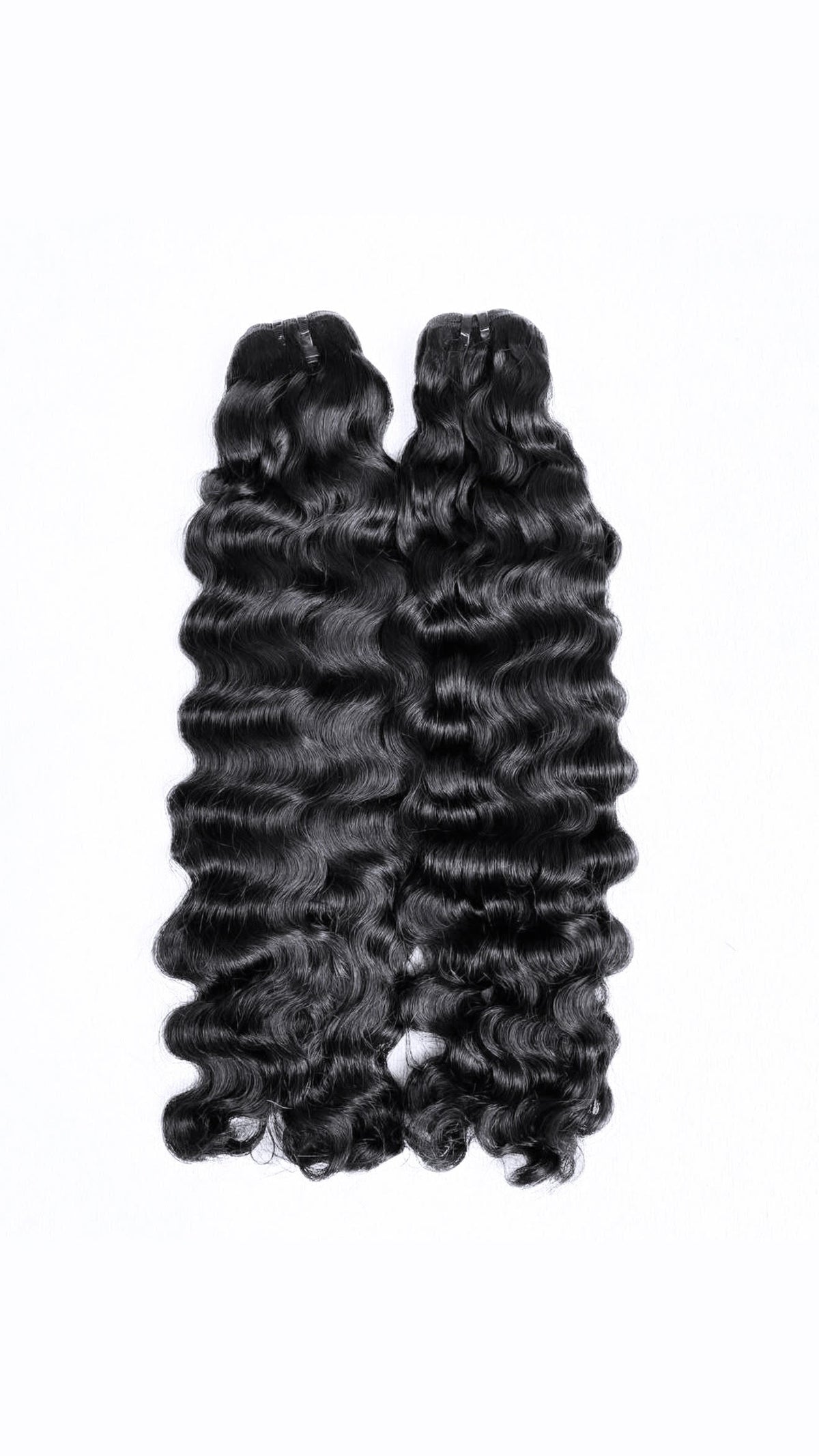 Burmese Curly